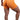 Orange Scrunch Seamless Shorts